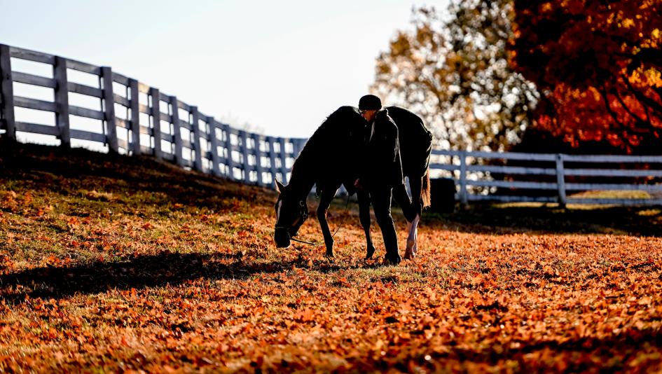 Welfare and Safety of the Racehorse Summit, Eclipse Sportswire